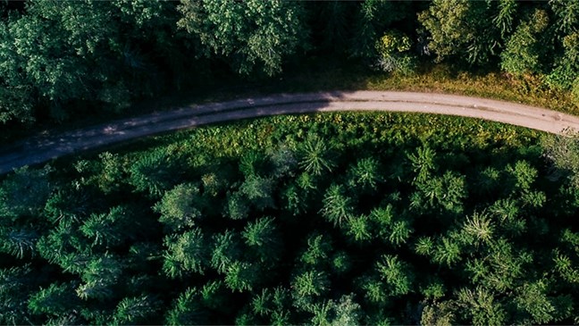 Hrvatsko Automobilsko Tržište u Preokretu